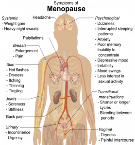 Illustration of a female figure showing various body parts and the menopausal symptoms that are related to these systems, such as headaches, weight game. changes in the breasts, skin, joints, vagina, urinary problems, psychological changes, and transitional symptoms of menopause