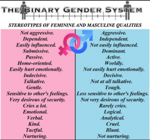 Female and Male figure at the top. Below the female on a pink background and the male on a blue background are a list of feminine and masculine stereotyped traits, such as not aggressive/aggressive