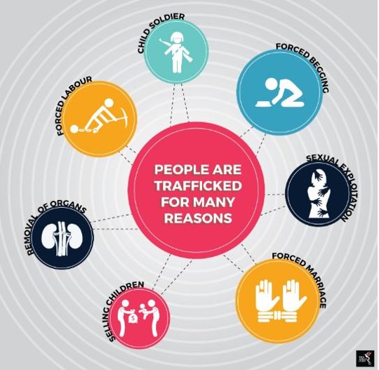 Graphic showing the many reasons people are trafficked: Child soldier, forced begging, sexual exploitation, forced marriage, selling children, removal or organs, forced labor.